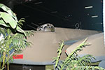 A-20G