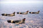 A-7D