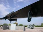 AF Guardian