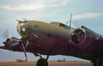 B-17