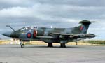 Buccaneer