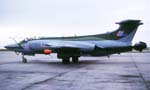 Buccaneer