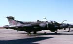 Buccaneer