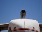 C-119