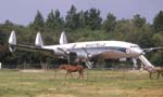 Lockheed Constellation