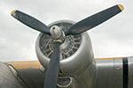 Raider Photo