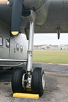 Raider Photo