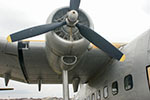 Raider Photo