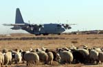 KC-130 Hercules