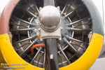 C-45 Expeditor