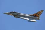 Typhoon