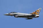 Typhoon