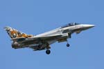 Typhoon