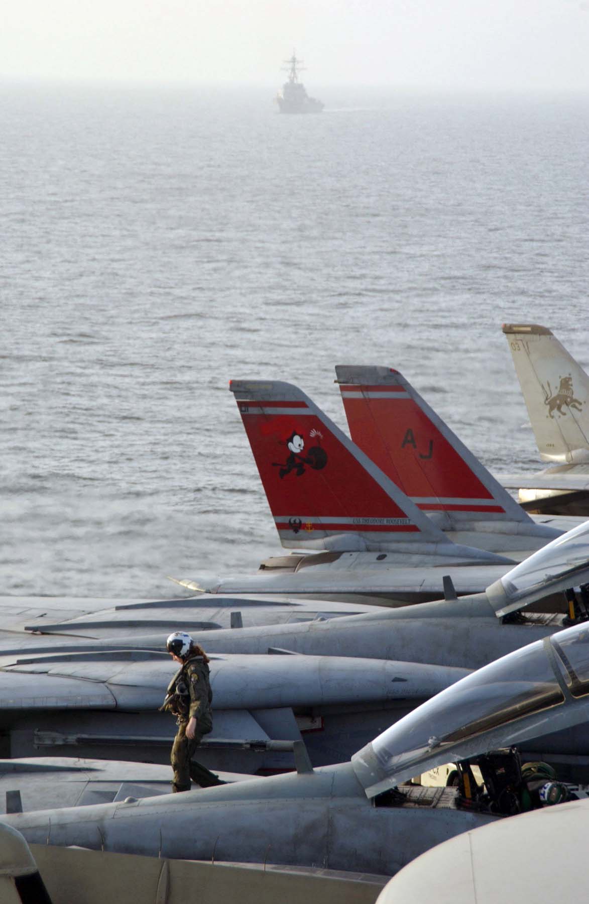 Grumman F-14D Tomcat US Navy Archives Image 060126-n-0685c-003