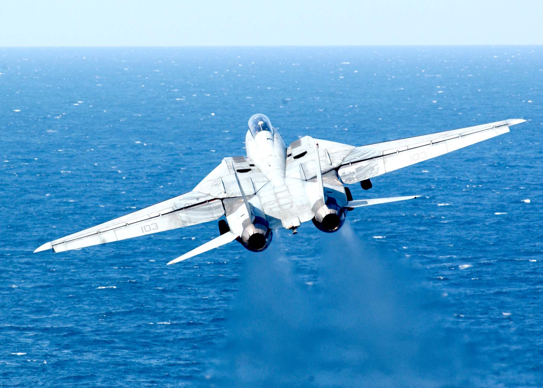 Grumman F-14D Tomcat US Navy Archives Image 060302-n-0685c-002