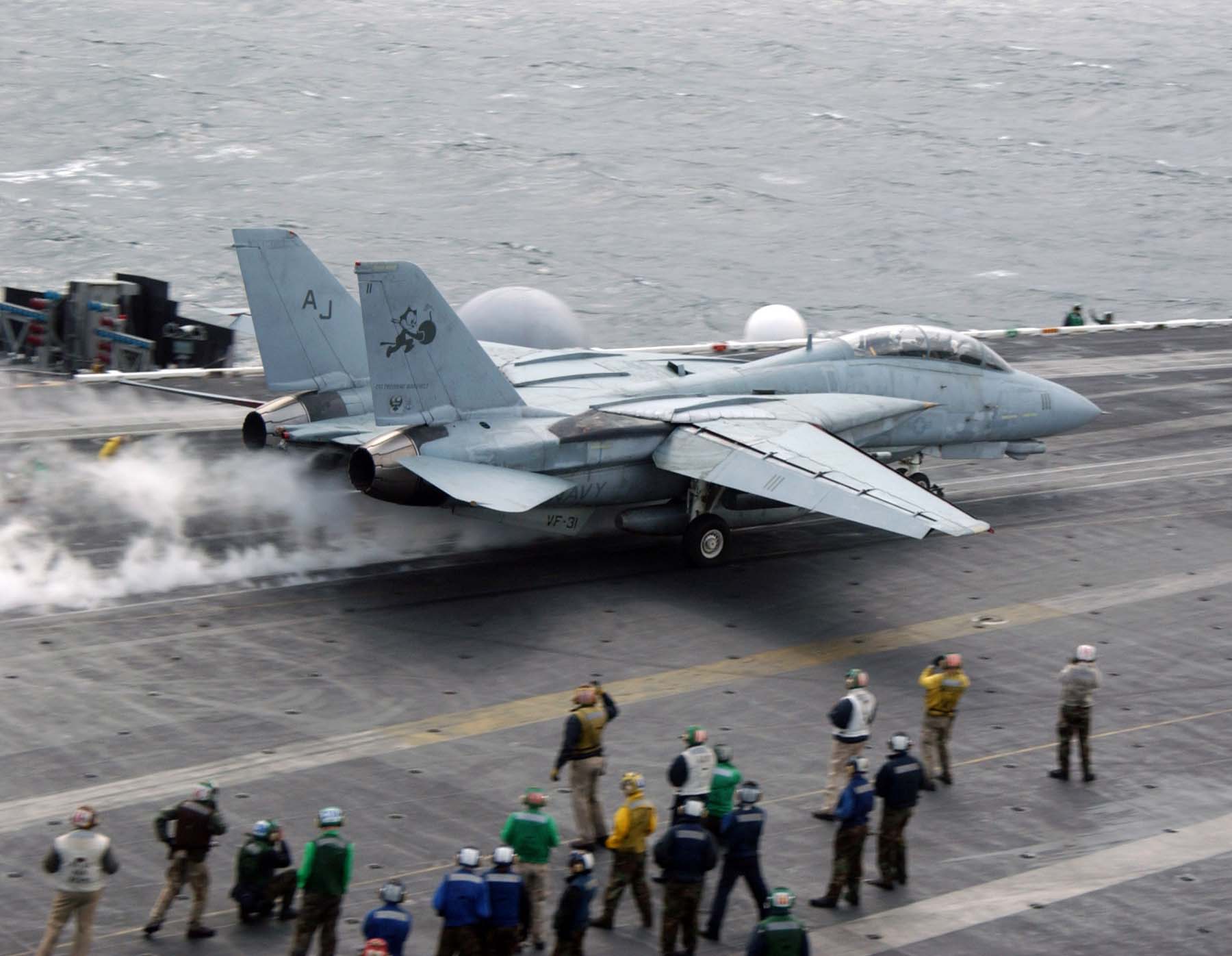 Grumman F-14D Tomcat US Navy Archives Image 060310-n-0685c-017
