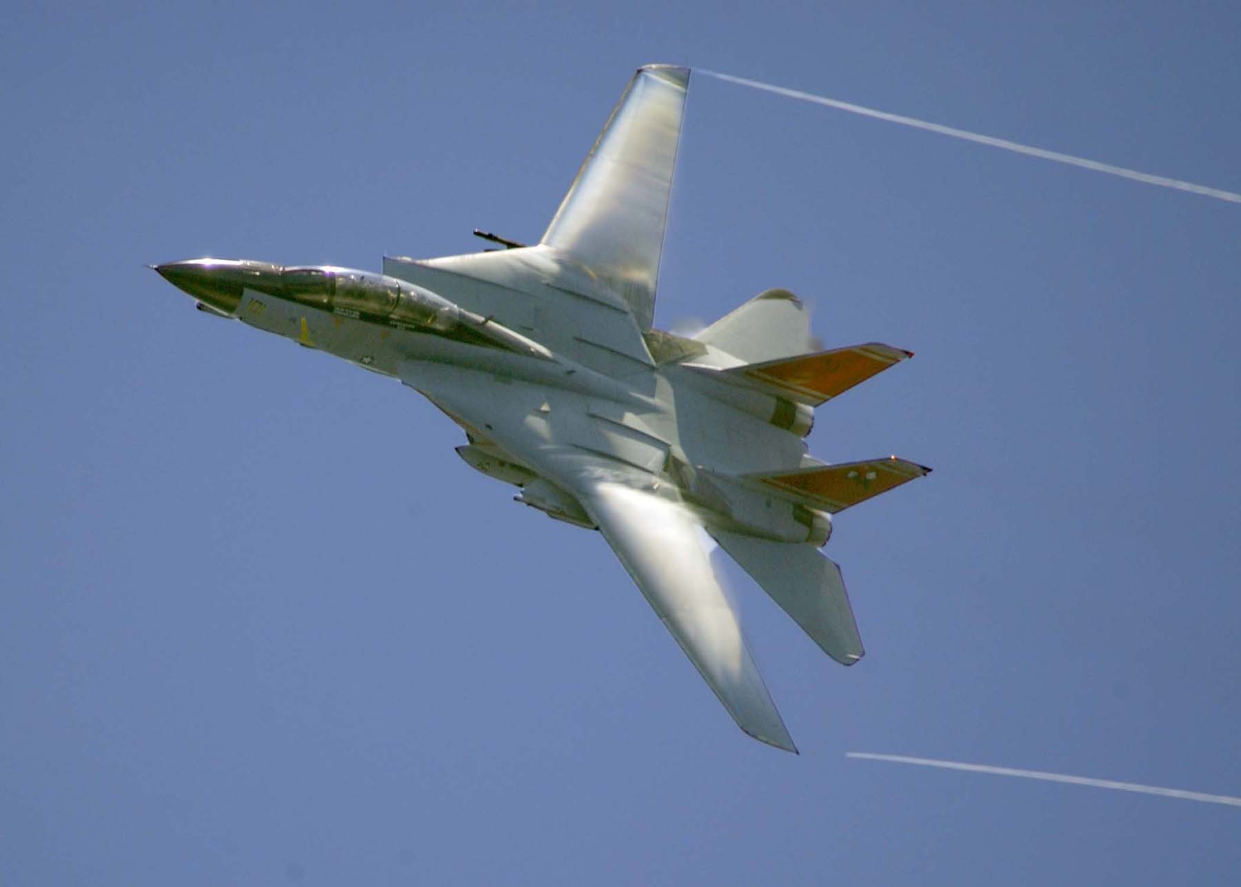 Grumman F-14D Tomcat US Navy Archives Image 060619-n-1063m-095