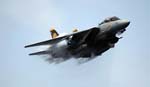 F-14D