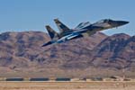 F-15C 'Digital Flanker' 65th AGRS