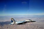F-15C 'Digital Flanker' 65th AGRS