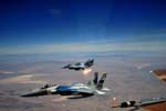 F-15C 'Digital Flanker' 65th AGRS
