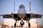 F-15C 'Digital Flanker' 65th AGRS