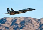 F-15C 'Digital Flanker' 65th AGRS