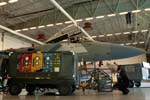 F-15C 'Digital Flanker' 65th AGRS