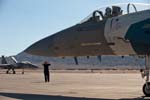 F-15C 'Digital Flanker' 65th AGRS