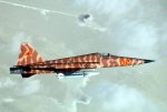 F-5E