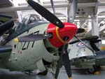 Gannet