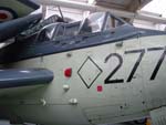 Gannet