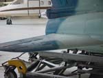 Gnat