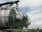CH-21B Work Horse Photo
