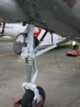 CH-21B Work Horse Photo