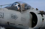 Harrier