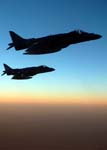 Harrier