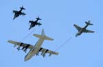 Harrier