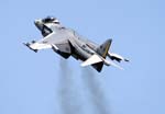 Harrier