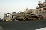 Harrier