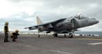 Harrier