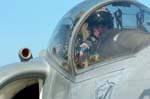 Harrier