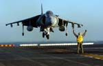 Harrier