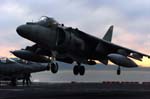 Harrier