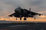 Harrier