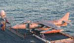 Harrier