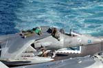 Harrier
