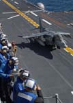 Harrier