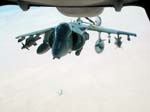 Harrier