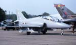 Hawk
